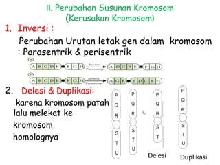 Mutasi Berdasarkan Tempat Terjadinya MUTASI Gen dan Kromosom | PPT
