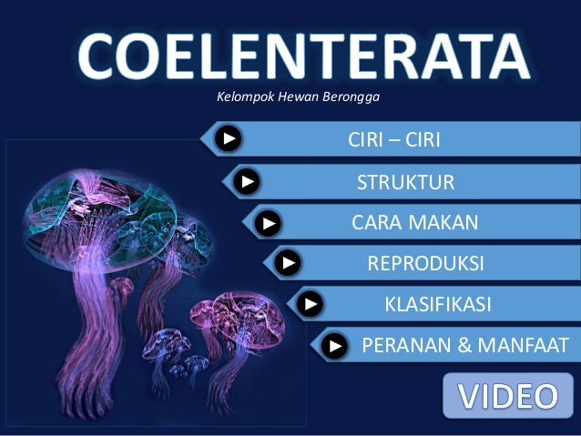 Bab 8 Animalia Subbab Coelenterata