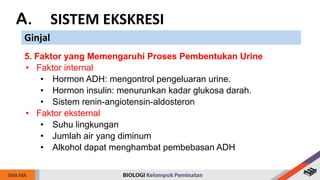 A. SISTEM EKSKRESI
Ginjal
5. Faktor yang Memengaruhi Proses Pembentukan Urine
• Faktor internal
• Hormon ADH: mengontrol pengeluaran urine.
• Hormon insulin: menurunkan kadar glukosa darah.
• Sistem renin-angiotensin-aldosteron
• Faktor eksternal
• Suhu lingkungan
• Jumlah air yang diminum
• Alkohol dapat menghambat pembebasan ADH
 