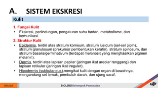 A. SISTEM EKSKRESI
Kulit
1. Fungsi Kulit
• Ekskresi, perlindungan, pengaturan suhu badan, metabolisme, dan
komunikasi.
2. Struktur Kulit
• Epidermis, terdiri atas stratum korneum, stratum lusidum (sel-sel pipih),
stratum granulosum (prekursor pembentukan keratin), stratum spinosum, dan
stratum basalis/germinativum (terdapat melanosit yang menghasilkan pigmen
melanin).
• Dermis, terdiri atas lapisan papilar (jaringan ikat areolar renggang) dan
lapisan retikuler (jaringan ikat ireguler).
• Hipodermis (subkutaneus),mengikat kulit dengan organ di bawahnya,
mengandung sel lemak, pembuluh darah, dan ujung saraf.
 