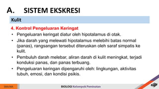 A. SISTEM EKSKRESI
Kulit
4. Kontrol Pengeluaran Keringat
• Pengeluaran keringat diatur oleh hipotalamus di otak.
• Jika darah yang melewati hipotalamus melebihi batas normal
(panas), rangsangan tersebut diteruskan oleh saraf simpatis ke
kulit.
• Pembuluh darah melebar, aliran darah di kulit meningkat, terjadi
konduksi panas, dan panas terbuang.
• Pengeluaran keringan dipengaruhi oleh: lingkungan, aktivitas
tubuh, emosi, dan kondisi psikis.
 