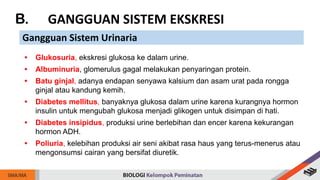 B. GANGGUAN SISTEM EKSKRESI
Gangguan Sistem Urinaria
• Glukosuria, ekskresi glukosa ke dalam urine.
• Albuminuria, glomerulus gagal melakukan penyaringan protein.
• Batu ginjal, adanya endapan senyawa kalsium dan asam urat pada rongga
ginjal atau kandung kemih.
• Diabetes mellitus, banyaknya glukosa dalam urine karena kurangnya hormon
insulin untuk mengubah glukosa menjadi glikogen untuk disimpan di hati.
• Diabetes insipidus, produksi urine berlebihan dan encer karena kekurangan
hormon ADH.
• Poliuria, kelebihan produksi air seni akibat rasa haus yang terus-menerus atau
mengonsumsi cairan yang bersifat diuretik.
 