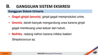 B. GANGGUAN SISTEM EKSKRESI
Gangguan Sistem Urinaria
• Gagal ginjal (anuria), ginjal gagal memproduksi urine.
• Uremia, darah banyak mengandung urea karena ginjal
gagal membuang urea keluar dari tubuh.
• Nefritis, radang nefron karena infeksi bakteri
Streptococcus sp.
 