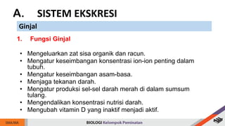 A. SISTEM EKSKRESI
Ginjal
1. Fungsi Ginjal
• Mengeluarkan zat sisa organik dan racun.
• Mengatur keseimbangan konsentrasi ion-ion penting dalam
tubuh.
• Mengatur keseimbangan asam-basa.
• Menjaga tekanan darah.
• Mengatur produksi sel-sel darah merah di dalam sumsum
tulang.
• Mengendalikan konsentrasi nutrisi darah.
• Mengubah vitamin D yang inaktif menjadi aktif.
 