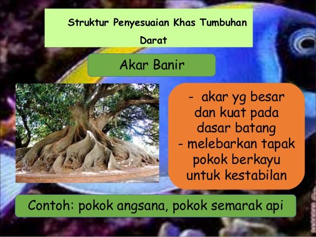 Bab8 Sokongan Pergerakan Bab8 Sokongan Pergerakan