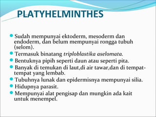 PLATYHELMINTHES
Sudah mempunyai ektoderm, mesoderm dan
 endoderm, dan belum mempunyai rongga tubuh
 (selom).
Termasuk binatang triploblastika aselomata.
Bentuknya pipih seperti daun atau seperti pita.
Banyak di temukan di laut,di air tawar,dan di tempat-
 tempat yang lembab.
Tubuhnya lunak dan epidermisnya mempunyai silia.
Hidupnya parasit.
Mempunyai alat pengisap dan mungkin ada kait
 untuk menempel.
 