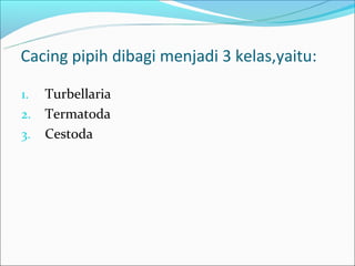 Cacing pipih dibagi menjadi 3 kelas,yaitu:

1.   Turbellaria
2.   Termatoda
3.   Cestoda
 