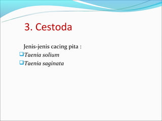 3. Cestoda
 Jenis-jenis cacing pita :
Taenia solium
Taenia saginata
 