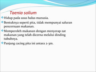 Taenia solium
Hidup pada usus halus manusia.
Bentuknya seperti pita, tidak mempunyai saluran
 pencernaan makanan.
Memperoleh makanan dengan menyerap zat
 makanan yang telah dicerna melalui dinding
 tubuhnya.
Panjang cacing pita ini antara 2-3m.
 