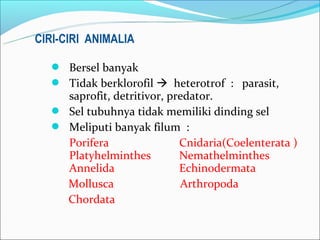 CIRI-CIRI ANIMALIA

   Bersel banyak
   Tidak berklorofil  heterotrof : parasit,
    saprofit, detritivor, predator.
   Sel tubuhnya tidak memiliki dinding sel
   Meliputi banyak filum :
    Porifera                Cnidaria(Coelenterata )
    Platyhelminthes         Nemathelminthes
    Annelida                Echinodermata
    Mollusca                Arthropoda
    Chordata
 