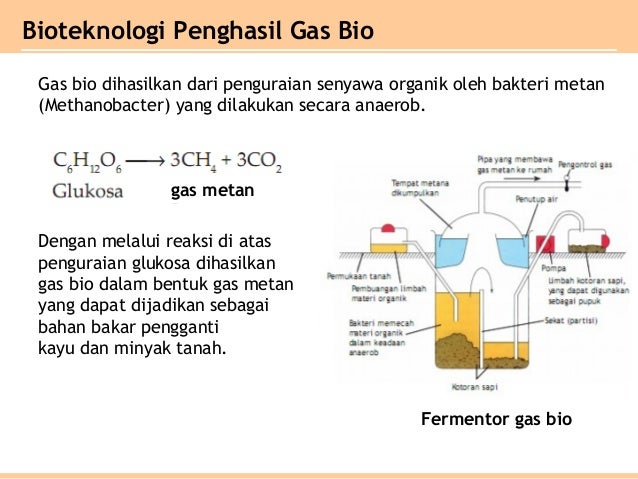 Materi bioteknologi kelas 12 Materi bioteknologi kelas 12
