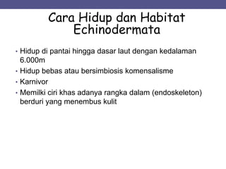 • Hidup di pantai hingga dasar laut dengan kedalaman
6.000m
• Hidup bebas atau bersimbiosis komensalisme
• Karnivor
• Memilki ciri khas adanya rangka dalam (endoskeleton)
berduri yang menembus kulit
Cara Hidup dan Habitat
Echinodermata
 