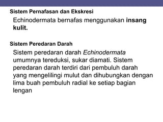 Sistem Pernafasan dan Ekskresi
Echinodermata bernafas menggunakan insang
kulit.
Sistem Peredaran Darah
Sistem peredaran darah Echinodermata
umumnya tereduksi, sukar diamati. Sistem
peredaran darah terdiri dari pembuluh darah
yang mengelilingi mulut dan dihubungkan dengan
lima buah pembuluh radial ke setiap bagian
lengan
 