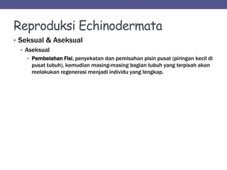 Reproduksi Echinodermata
• Seksual & Aseksual
• Aseksual
• Pembelahan Fisi, penyekatan dan pemisahan pisin pusat (piringan kecil di
pusat tubuh), kemudian masing-masing bagian tubuh yang terpisah akan
melakukan regenerasi menjadi individu yang lengkap.
 