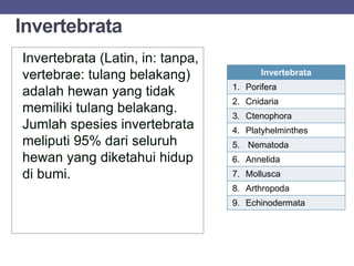 Invertebrata
Invertebrata
1. Porifera
2. Cnidaria
3. Ctenophora
4. Platyhelminthes
5. Nematoda
6. Annelida
7. Mollusca
8. Arthropoda
9. Echinodermata
Invertebrata (Latin, in: tanpa,
vertebrae: tulang belakang)
adalah hewan yang tidak
memiliki tulang belakang.
Jumlah spesies invertebrata
meliputi 95% dari seluruh
hewan yang diketahui hidup
di bumi.
 