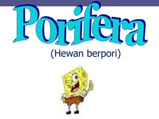 (Hewan berpori)
 