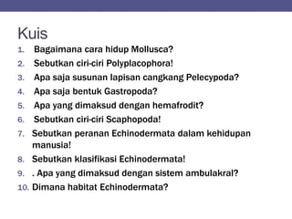 Kuis
1. Bagaimana cara hidup Mollusca?
2. Sebutkan ciri-ciri Polyplacophora!
3. Apa saja susunan lapisan cangkang Pelecypoda?
4. Apa saja bentuk Gastropoda?
5. Apa yang dimaksud dengan hemafrodit?
6. Sebutkan ciri-ciri Scaphopoda!
7. Sebutkan peranan Echinodermata dalam kehidupan
manusia!
8. Sebutkan klasifikasi Echinodermata!
9. . Apa yang dimaksud dengan sistem ambulakral?
10. Dimana habitat Echinodermata?
 
