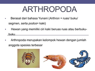 ARTHROPODA
 Berasal dari bahasa Yunani (Arthron = ruas/ buku/
segmen, serta podos= kaki)
 Hewan yang memiliki ciri kaki beruas ruas atau berbuku-
buku
 Arthropoda merupakan kelompok hewan dengan jumlah
anggota spesies terbesar
 