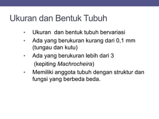 Ukuran dan Bentuk Tubuh
• Ukuran dan bentuk tubuh bervariasi
• Ada yang berukuran kurang dari 0,1 mm
(tungau dan kutu)
• Ada yang berukuran lebih dari 3
(kepiting Machrocheira)
• Memiliki anggota tubuh dengan struktur dan
fungsi yang berbeda beda.
 