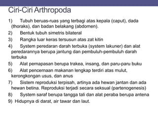 Ciri-Ciri Arthropoda
1) Tubuh beruas-ruas yang terbagi atas kepala (caput), dada
(thoraks), dan badan belakang (abdomen).
2) Bentuk tubuh simetris bilateral
3) Rangka luar keras tersusun atas zat kitin
4) System peredaran darah terbuka (system lakuner) dan alat
peredarannya berupa jantung dan pembuluh-pembuluh darah
terbuka
5) Alat pernapasan berupa trakea, insang, dan paru-paru buku
6) Alat pencernaan makanan lengkap terdiri atas mulut,
kerongkongan usus, dan anus
7) Sistem reproduksi terpisah, artinya ada hewan jantan dan ada
hewan betina. Reproduksi terjadi secara seksual (partenogenesis)
8) System saraf berupa tangga tali dan alat peraba berupa antena
9) Hidupnya di darat, air tawar dan laut.
 