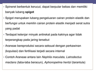 • Spineret berbentuk kerucut, dapat berputar bebas dan memiliki
banyak lubang spigot
• Spigot merupakan lubang pengeluaran cairan protein elastik dan
berfungsi untuk memilin cairan protein elastik menjadi serat sutra
yang padat
• Terdapat kelenjar minyak antirekat pada kakinya agar tidak
terperangkap pada jaring tersebut
• Araneae bereproduksi secara seksual dengan perkawinan
(kopulasi) dan fertilisasi terjadi secara internal
• Contoh Araneae antara lain Nephila maculata, Latrodectus
mactans (laba-laba beracun), Aphonopelma hentzi (tarantula)
 