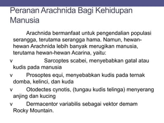 Peranan Arachnida Bagi Kehidupan
Manusia
Arachnida bermanfaat untuk pengendalian populasi
serangga, terutama serangga hama. Namun, hewan-
hewan Arachnida lebih banyak merugikan manusia,
terutama hewan-hewan Acarina, yaitu:
v Sarcoptes scabei, menyebabkan gatal atau
kudis pada manusia
v Prosoptes equi, menyebabkan kudis pada ternak
domba, kelinci, dan kuda
v Otodectes cynotis, (tungau kudis telinga) menyerang
anjing dan kucing
v Dermacentor variabilis sebagai vektor demam
Rocky Mountain.
 