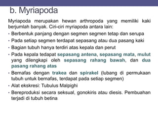 b. Myriapoda
Myriapoda merupakan hewan arthropoda yang memiliki kaki
berjumlah banyak. Ciri-ciri myriapoda antara lain:
• Berbentuk panjang dengan segmen segmen tetap dan serupa
• Pada setiap segmen terdapat sepasang atau dua pasang kaki
• Bagian tubuh hanya terdiri atas kepala dan perut
• Pada kepala tedapat sepasang antena, sepasang mata, mulut
yang dilengkapi oleh sepasang rahang bawah, dan dua
pasang rahang atas
• Bernafas dengan trakea dan spirakel (lubang di permukaan
tubuh untuk bernafas, terdapat pada setiap segmen)
• Alat ekskresi: Tubulus Malpighi
• Bereproduksi secara seksual, gonokiris atau diesis. Pembuahan
terjadi di tubuh betina
 