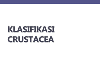 KLASIFIKASI
CRUSTACEA
 
