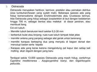 3. Ostracoda
Ostracoda merupakan herbivor, karnivor, predator atau pemakan detritus
(sisa tumbuhan/hewan yang sudah mati). Beberapa spesies ada yang
hidup komensalisme dengan Enchinodermata atau Crustacea lainnya.
Ada Ostracoda yang hidup sebagai zooplankton di laut dengan kedalaman
hingga 700 m, sebagai bentos atau melekat di dasar perairan, atau
membuat liang.
Ciri-ciri tubuh:
• Memiliki tubuh berukuran kecil sekitar 0,2-30 mm
• berbentuk bulat atau lonjong; ruas-ruas tubuh tampak tidak jelas
• memiliki antena yang panjang sebagai alat gerak untuk berenang.
• memiliki karapas berkeping dua yang menyatu di bagian dorsal dan
menutupi badan serta kepala
• Karapas ada yang keras karena mengandung zat kapur dan setiap kali
molting akan diganti dengan yang baru
Terdapat sekita 13.000 spesies Ostracoda yang masih hidup, contohnya
Cypridina mediterranea , Azygocypridina lowryi, dan Gigantocypris
pellucida.
 