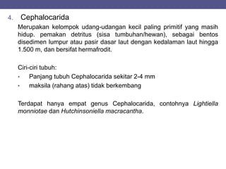 4. Cephalocarida
Merupakan kelompok udang-udangan kecil paling primitif yang masih
hidup. pemakan detritus (sisa tumbuhan/hewan), sebagai bentos
disedimen lumpur atau pasir dasar laut dengan kedalaman laut hingga
1.500 m, dan bersifat hermafrodit.
Ciri-ciri tubuh:
• Panjang tubuh Cephalocarida sekitar 2-4 mm
• maksila (rahang atas) tidak berkembang
Terdapat hanya empat genus Cephalocarida, contohnya Lightiella
monniotae dan Hutchinsoniella macracantha.
 