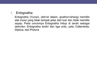 1. Entognatha
Entognatha (Yunani, ebti=di dalam, gnatha=rahang) memiliki
alat mulut yang tidak tampak jelas dari luar dan tidak memiliki
sayap. Pada umumnya Entognatha hidup di tanah sebagai
detrivitor. Entognatha terdiri dari tiga ordo, yaitu Collembola,
Diplura, dan Protura.
 