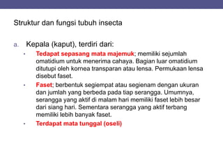 Struktur dan fungsi tubuh insecta
a. Kepala (kaput), terdiri dari:
• Tedapat sepasang mata majemuk; memiliki sejumlah
omatidium untuk menerima cahaya. Bagian luar omatidium
ditutupi oleh kornea transparan atau lensa. Permukaan lensa
disebut faset.
• Faset; berbentuk segiempat atau segienam dengan ukuran
dan jumlah yang berbeda pada tiap serangga. Umumnya,
serangga yang aktif di malam hari memiliki faset lebih besar
dari siang hari. Sementara serangga yang aktif terbang
memiliki lebih banyak faset.
• Terdapat mata tunggal (oseli)
 