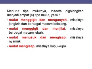 Menurut tipe mulutnya, Insecta digolongkan
menjadi empat (4) tipe mulut, yaitu :
• mulut menggigit dan mengunyah, misalnya
jangkrik dan berbagai macam belalang.
• mulut menggigit dan menjilat, misalnya
berbagai macam lebah.
• mulut menusuk dan mengisap, misalnya
nyamuk.
• mulut mengisap, misalnya kupu-kupu
 