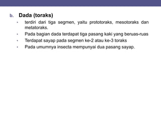 b. Dada (toraks)
• terdiri dari tiga segmen, yaitu prototoraks, mesotoraks dan
metatoraks.
• Pada bagian dada terdapat tiga pasang kaki yang beruas-ruas
• Terdapat sayap pada segmen ke-2 atau ke-3 toraks
• Pada umumnya insecta mempunyai dua pasang sayap.
 