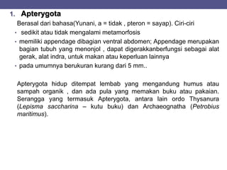 1. Apterygota
Berasal dari bahasa(Yunani, a = tidak , pteron = sayap). Ciri-ciri
• sedikit atau tidak mengalami metamorfosis
• memiliki appendage dibagian ventral abdomen; Appendage merupakan
bagian tubuh yang menonjol , dapat digerakkanberfungsi sebagai alat
gerak, alat indra, untuk makan atau keperluan lainnya
• pada umumnya berukuran kurang dari 5 mm..
Apterygota hidup ditempat lembab yang mengandung humus atau
sampah organik , dan ada pula yang memakan buku atau pakaian.
Serangga yang termasuk Apterygota, antara lain ordo Thysanura
(Lepisma saccharina – kutu buku) dan Archaeognatha (Petrobius
maritimus).
 