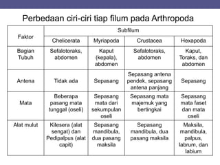 Faktor
Subfilum
Chelicerata Myriapoda Crustacea Hexapoda
Bagian
Tubuh
Sefalotoraks,
abdomen
Kaput
(kepala),
abdomen
Sefalotoraks,
abdomen
Kaput,
Toraks, dan
abdomen
Antena Tidak ada Sepasang
Sepasang antena
pendek, sepasang
antena panjang
Sepasang
Mata
Beberapa
pasang mata
tunggal (oseli)
Sepasang
mata dari
sekumpulan
oseli
Sepasang mata
majemuk yang
bertingkai
Sepasang
mata faset
dan mata
oseli
Alat mulut Kilesera (alat
sengat) dan
Pedipalpus (alat
capit)
Sepasang
mandibula,
dua pasang
maksila
Sepasang
mandibula, dua
pasang maksila
Maksila,
mandibula,
palpus,
labrum, dan
labium
Perbedaan ciri-ciri tiap filum pada Arthropoda
 