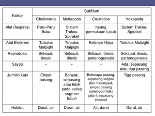 Faktor
Subfilum
Chelicerata Myriapoda Crustacea Hexapoda
Alat Respirasi Paru-Paru
Buku
Sistem
Trakea,
Spirakel
Insang,
permukaan tubuh
Sistem Trakea,
Spirakel
Alat Ekskresi Tubulus
Malpighi
Tubulus
Malpighi
Kelenjar Hijau Tubulus Malpighi
Reproduksi Seksual,
diesis
Seksual,
diesis
Seksual, diesis,
partenogenesis
Seksual, diesis,
partenogenesis
Sayap - - - Ada, sepasang
atau dua pasang
Jumlah kaki Empat
pasang
Banyak,
sepasang
atau lebih
pada setiap
segmen
tubuh
Beberapa pasang,
sepasang keliped
dan maksiliped,
empat pasang
pereiopod (kaki
jalan), sepasang
pleopod
Tiga pasang
Habitat Darat, air Darat, air Air, darat Darat, air
 