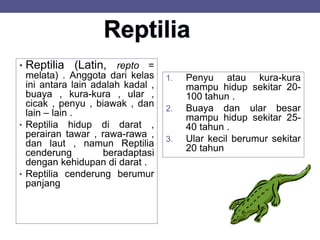 • Reptilia (Latin, repto =
melata) . Anggota dari kelas
ini antara lain adalah kadal ,
buaya , kura-kura , ular ,
cicak , penyu , biawak , dan
lain – lain .
• Reptilia hidup di darat ,
perairan tawar , rawa-rawa ,
dan laut , namun Reptilia
cenderung beradaptasi
dengan kehidupan di darat .
• Reptilia cenderung berumur
panjang
1. Penyu atau kura-kura
mampu hidup sekitar 20-
100 tahun .
2. Buaya dan ular besar
mampu hidup sekitar 25-
40 tahun .
3. Ular kecil berumur sekitar
20 tahun
 