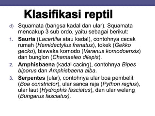 d) Squamata (bangsa kadal dan ular). Squamata
mencakup 3 sub ordo, yaitu sebagai berikut:
1. Sauria (Lacertilia atau kadal), contohnya cecak
rumah (Hemidactylus frenatus), tokek (Gekko
gecko), biawaka komodo (Varanus komodoensis)
dan bunglon (Chamaeleo dilepis).
2. Amphisbaena (kadal cacing), contohnya Bipes
biporus dan Amphisbaena alba.
3. Serpentes (ular), contohnya ular boa pembelit
(Boa constrictor), ular sanca raja (Python regius),
ular laut (Hydrophis fasciatus), dan ular welang
(Bungarus fasciatus).
 