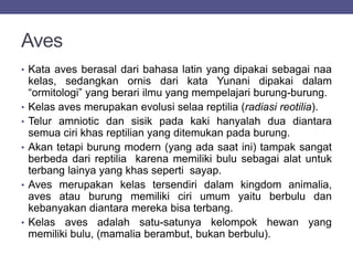 Aves
• Kata aves berasal dari bahasa latin yang dipakai sebagai naa
kelas, sedangkan ornis dari kata Yunani dipakai dalam
“ormitologi” yang berari ilmu yang mempelajari burung-burung.
• Kelas aves merupakan evolusi selaa reptilia (radiasi reotilia).
• Telur amniotic dan sisik pada kaki hanyalah dua diantara
semua ciri khas reptilian yang ditemukan pada burung.
• Akan tetapi burung modern (yang ada saat ini) tampak sangat
berbeda dari reptilia karena memiliki bulu sebagai alat untuk
terbang lainya yang khas seperti sayap.
• Aves merupakan kelas tersendiri dalam kingdom animalia,
aves atau burung memiliki ciri umum yaitu berbulu dan
kebanyakan diantara mereka bisa terbang.
• Kelas aves adalah satu-satunya kelompok hewan yang
memiliki bulu, (mamalia berambut, bukan berbulu).
 