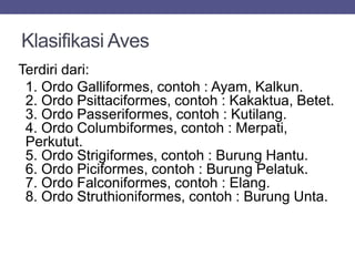 Klasifikasi Aves
Terdiri dari:
1. Ordo Galliformes, contoh : Ayam, Kalkun.
2. Ordo Psittaciformes, contoh : Kakaktua, Betet.
3. Ordo Passeriformes, contoh : Kutilang.
4. Ordo Columbiformes, contoh : Merpati,
Perkutut.
5. Ordo Strigiformes, contoh : Burung Hantu.
6. Ordo Piciformes, contoh : Burung Pelatuk.
7. Ordo Falconiformes, contoh : Elang.
8. Ordo Struthioniformes, contoh : Burung Unta.
 