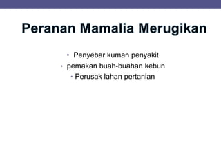 • Penyebar kuman penyakit
• pemakan buah-buahan kebun
• Perusak lahan pertanian
 