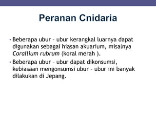 • Beberapa ubur – ubur kerangkal luarnya dapat
digunakan sebagai hiasan akuarium, misalnya
Corallium rubrum (koral merah ).
• Beberapa ubur – ubur dapat dikonsumsi,
kebiasaan mengonsumsi ubur – ubur ini banyak
dilakukan di Jepang.
 