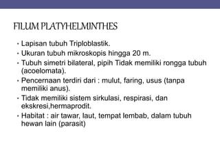 FILUMPLATYHELMINTHES
• Lapisan tubuh Triploblastik.
• Ukuran tubuh mikroskopis hingga 20 m.
• Tubuh simetri bilateral, pipih Tidak memiliki rongga tubuh
(acoelomata).
• Pencernaan terdiri dari : mulut, faring, usus (tanpa
memiliki anus).
• Tidak memiliki sistem sirkulasi, respirasi, dan
ekskresi,hermaprodit.
• Habitat : air tawar, laut, tempat lembab, dalam tubuh
hewan lain (parasit)
 