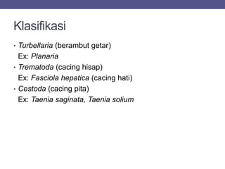 Klasifikasi
• Turbellaria (berambut getar)
Ex: Planaria
• Trematoda (cacing hisap)
Ex: Fasciola hepatica (cacing hati)
• Cestoda (cacing pita)
Ex: Taenia saginata, Taenia solium
 