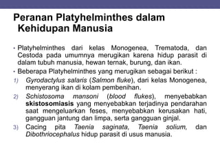 Peranan Platyhelminthes dalam
Kehidupan Manusia
• Platyhelminthes dari kelas Monogenea, Trematoda, dan
Cestoda pada umumnya merugikan karena hidup parasit di
dalam tubuh manusia, hewan ternak, burung, dan ikan.
• Beberapa Platyhelminthes yang merugikan sebagai berikut :
1) Gyrodactylus salaris (Salmon fluke), dari kelas Monogenea,
menyerang ikan di kolam pembenihan.
2) Schistosoma mansoni (blood flukes), menyebabkan
skistosomiasis yang menyebabkan terjadinya pendarahan
saat mengeluarkan feses, menyebabkan kerusakan hati,
gangguan jantung dan limpa, serta gangguan ginjal.
3) Cacing pita Taenia saginata, Taenia solium, dan
Dibothriocephalus hidup parasit di usus manusia.
 