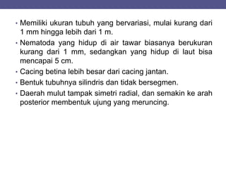 • Memiliki ukuran tubuh yang bervariasi, mulai kurang dari
1 mm hingga lebih dari 1 m.
• Nematoda yang hidup di air tawar biasanya berukuran
kurang dari 1 mm, sedangkan yang hidup di laut bisa
mencapai 5 cm.
• Cacing betina lebih besar dari cacing jantan.
• Bentuk tubuhnya silindris dan tidak bersegmen.
• Daerah mulut tampak simetri radial, dan semakin ke arah
posterior membentuk ujung yang meruncing.
 