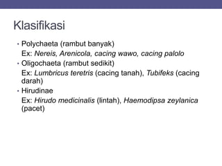 Klasifikasi
• Polychaeta (rambut banyak)
Ex: Nereis, Arenicola, cacing wawo, cacing palolo
• Oligochaeta (rambut sedikit)
Ex: Lumbricus teretris (cacing tanah), Tubifeks (cacing
darah)
• Hirudinae
Ex: Hirudo medicinalis (lintah), Haemodipsa zeylanica
(pacet)
 