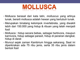 • Mollusca berasal dari kata latin, molluscus yang artinya
lunak, berarti mollusca adalah hewan yang bertubuh lunak.
• Merupakan binatang kelompok invertebrata, yang diwakili
lebih dari 150.000 yang hidup & ribuan yang telah menjadi
fosil
• Mollusca : hidup secara bebas, sebagai herbivora, maupun
karnivora, hidup sebagai parasit, hidup di perairan dangkal,
hidup di darat
• Muncul sejak zaman Kambrium hingga sekarang. Saat ini
diperkirakan ada 75 ribu jenis, serta 35 ribu jenis dalam
bentuk fosil
 