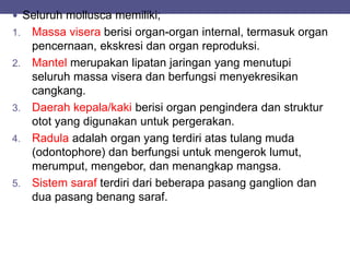  Seluruh mollusca memiliki;
1. Massa visera berisi organ-organ internal, termasuk organ
pencernaan, ekskresi dan organ reproduksi.
2. Mantel merupakan lipatan jaringan yang menutupi
seluruh massa visera dan berfungsi menyekresikan
cangkang.
3. Daerah kepala/kaki berisi organ pengindera dan struktur
otot yang digunakan untuk pergerakan.
4. Radula adalah organ yang terdiri atas tulang muda
(odontophore) dan berfungsi untuk mengerok lumut,
merumput, mengebor, dan menangkap mangsa.
5. Sistem saraf terdiri dari beberapa pasang ganglion dan
dua pasang benang saraf.
 